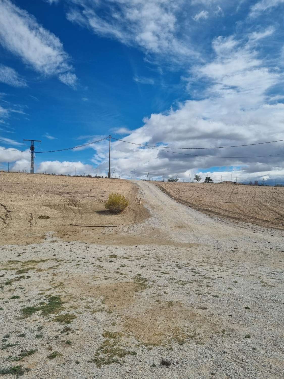 Casa en venta en Lorca