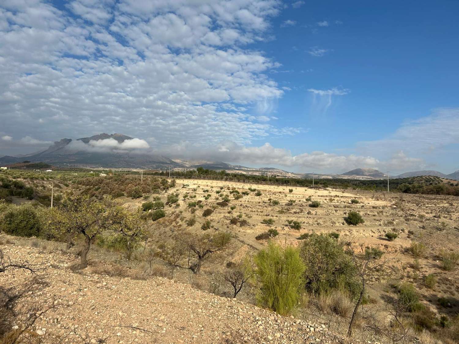 Gran terreno rural