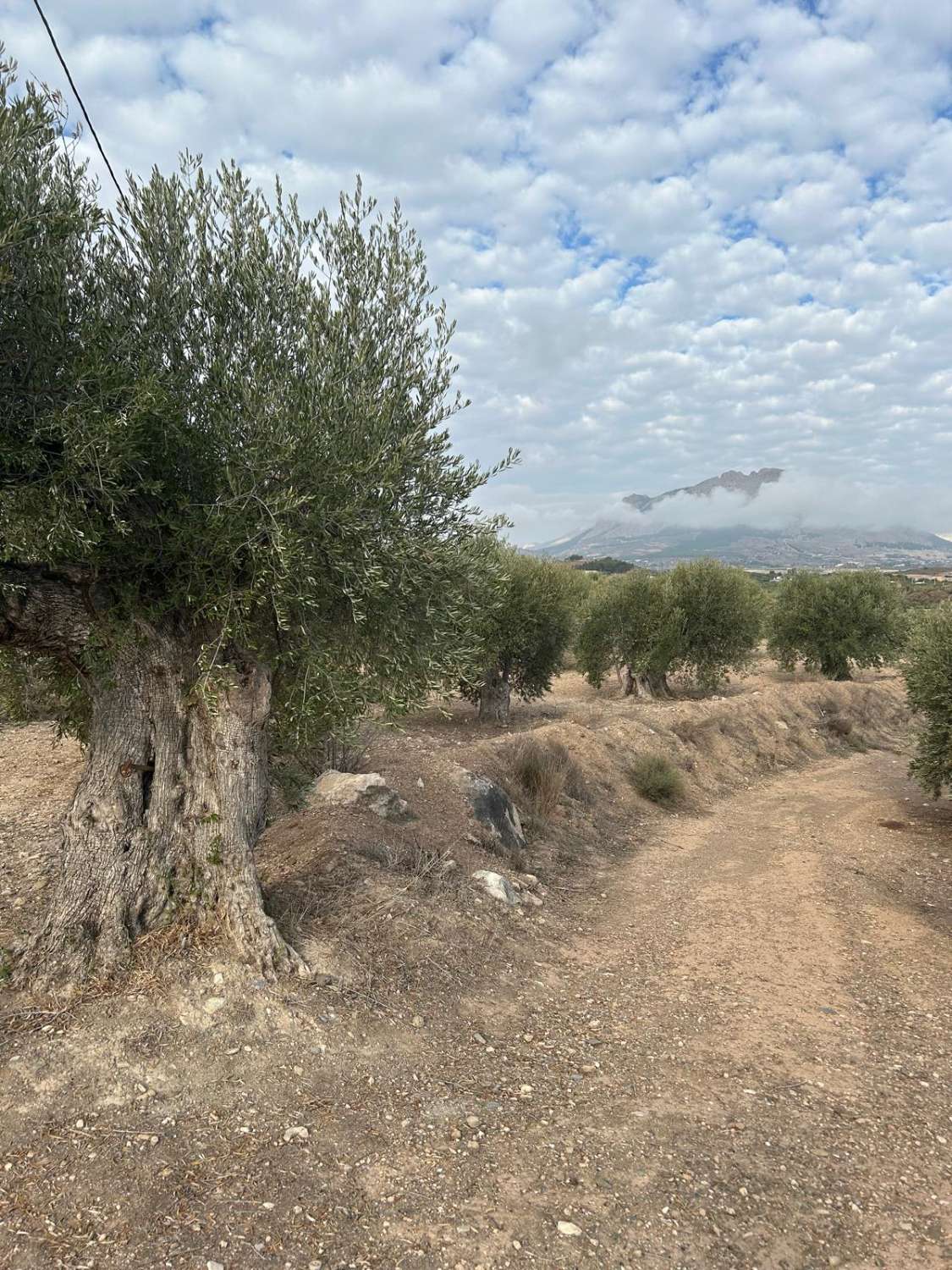 Gran terreno rural