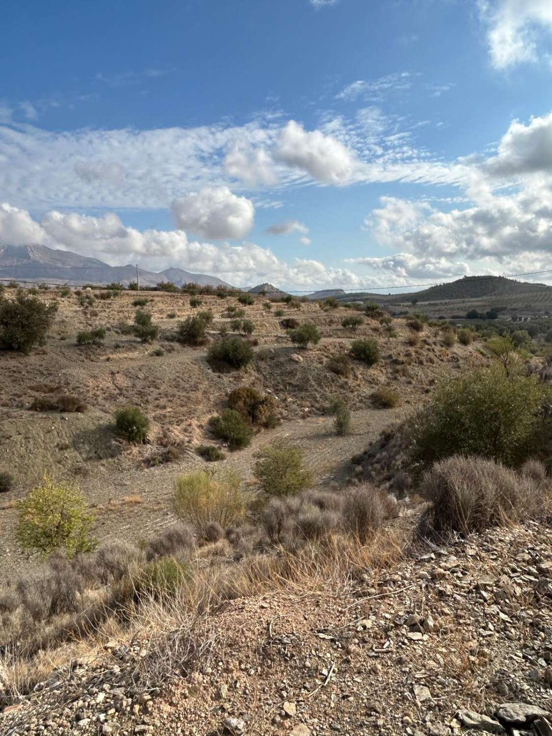 Gran terreno rural