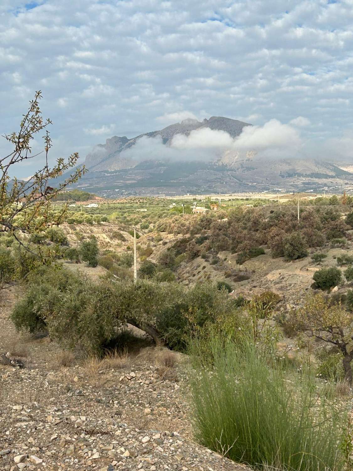 Gran terreno rural