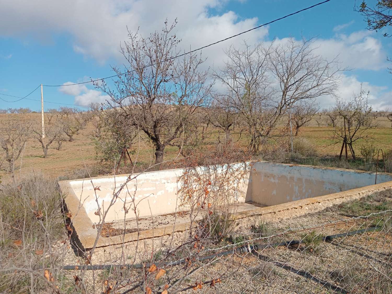 Se vende finca de 8 hectáreas en Vélez-Rubio con 1700 almendros