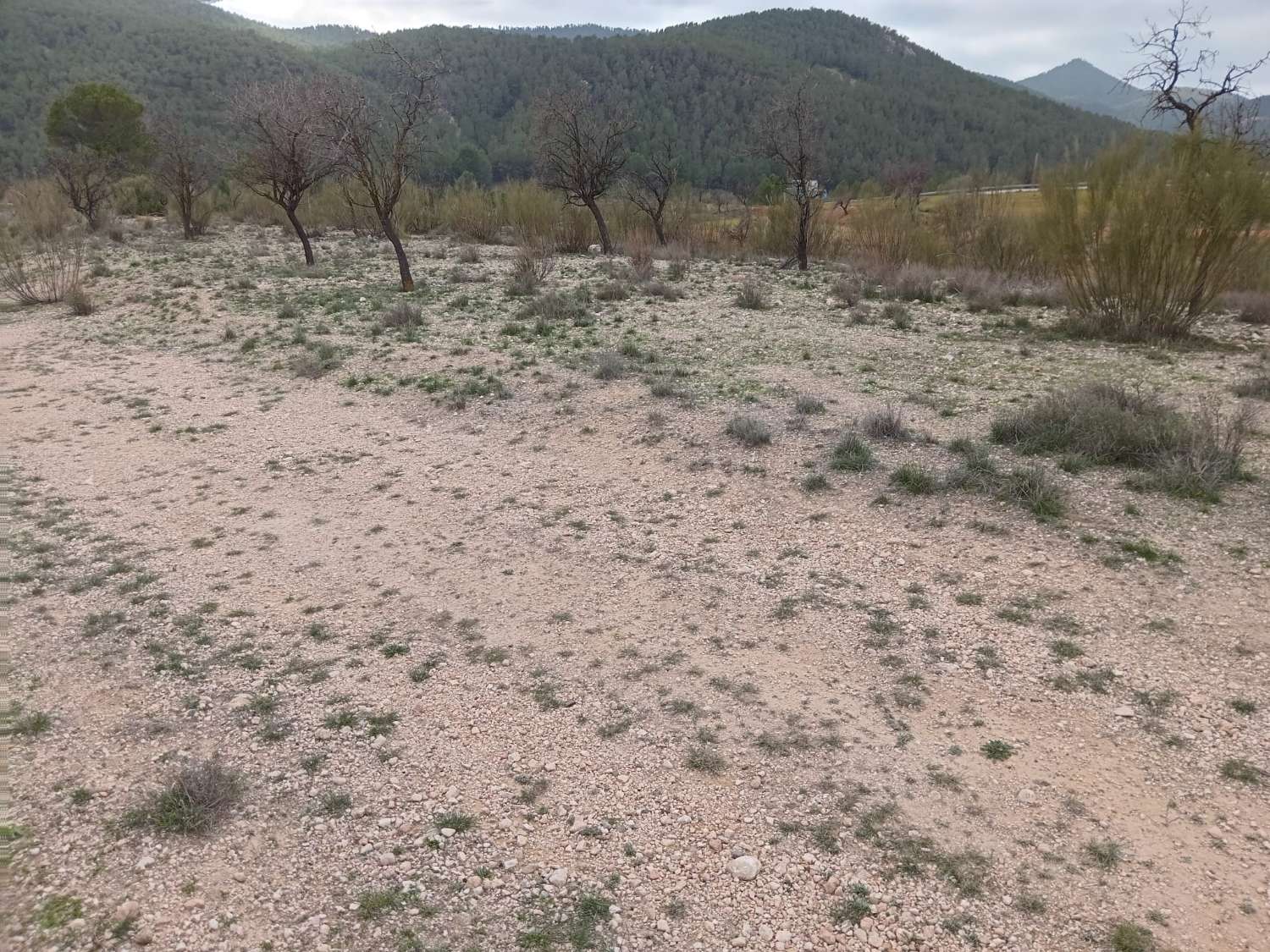 Bauernhof mit 3 Hektar Land, 7 km von Vélez Rubio entfernt