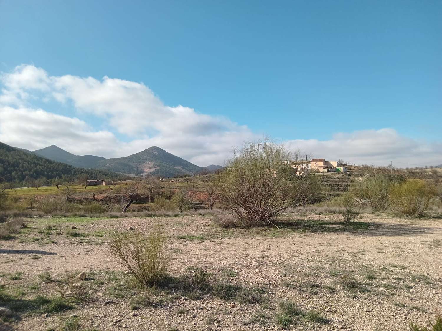 Bauernhof mit 3 Hektar Land, 7 km von Vélez Rubio entfernt