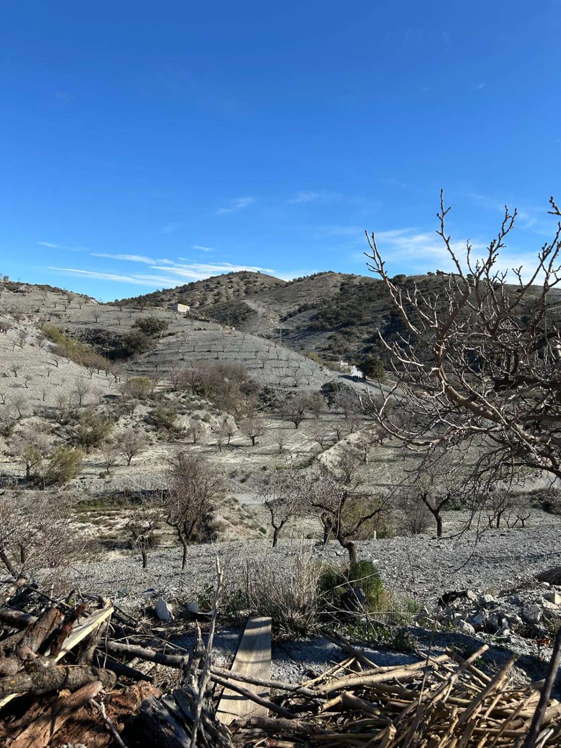 Propiedad independiente a 9 km de Taberno con 7 habitaciones