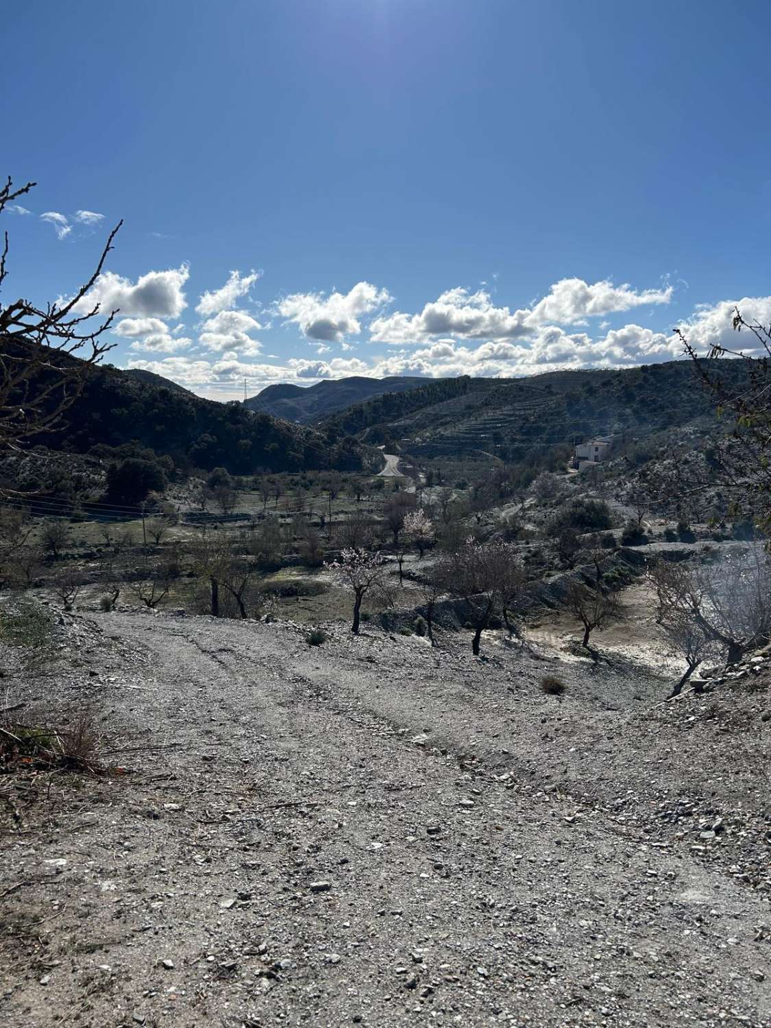 Propiedad independiente a 9 km de Taberno con 7 habitaciones