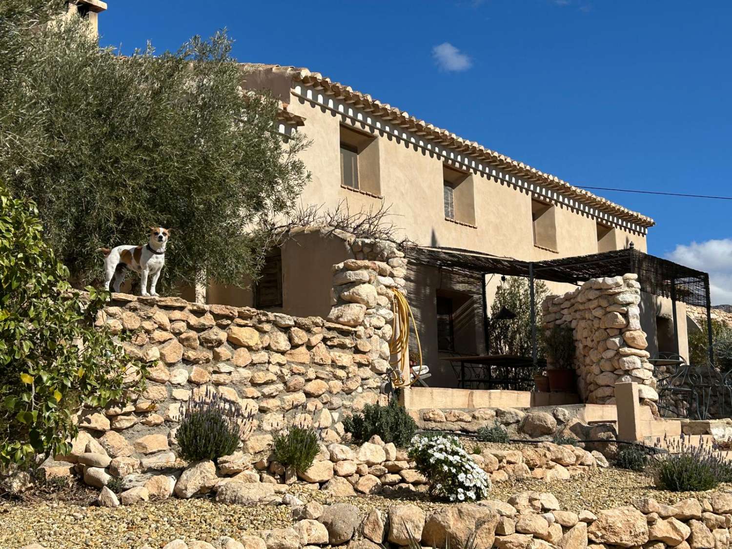 Exquisito cortijo de 7 dormitorios con gran piscina en hermosa ubicación