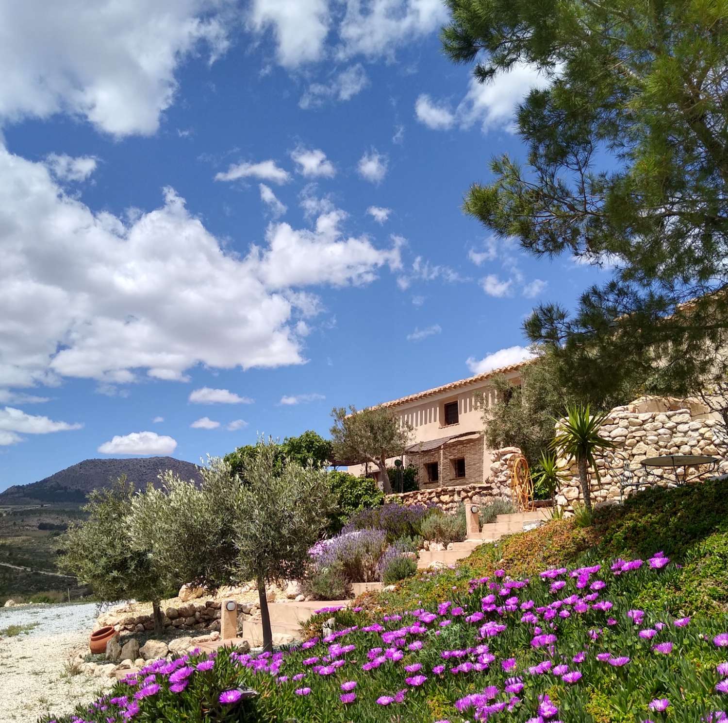 Exquisito cortijo de 7 dormitorios con gran piscina en hermosa ubicación